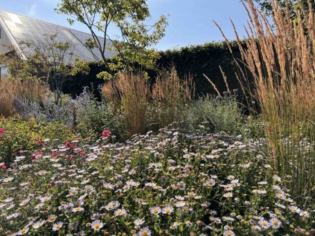 Een onderhoudsvriendelijke en bloemrijke border met bijenplanten Een onderhoudsvriendelijke border met bloeiende planten voor meer biodiversiteit ontworpen door beewilding