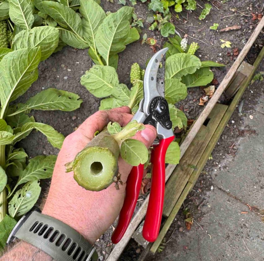 Tuinadvies voor meer biodiversiteit in jouw tuin Beewilding geeft tuinadvies in Noord-Holland op locatie en door heel Nederland op afstand. Meer bloemen, natuur en schaduw in jouw tuin!