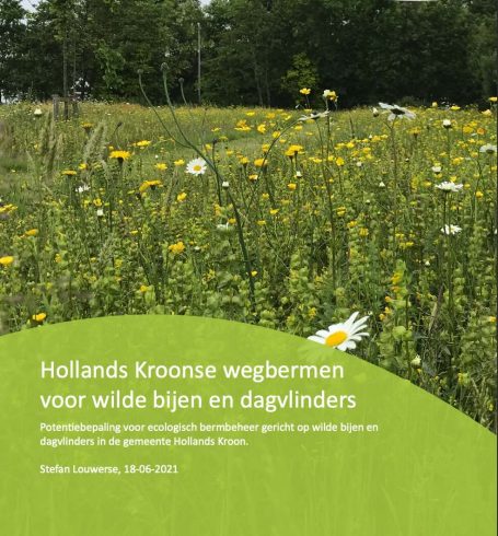 Adviesrapport voor bijvriendelijk maaibeheer in Hollands Kroon Beewilding heeft een adviesrapport geschreven voor bijvriendelijk en ecologisch bermbeheer in de gemeente Hollands Kroon