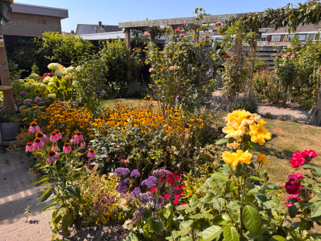 Bloeiende achtertuin met veel waarde voor bijen, vlinders en vogels Een kleine biodiverse tuin kan een mooi habitat voor wilde bijen, hommels en vlinders zijn. Net als veel vogels!
