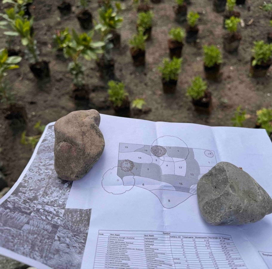 Beplantingsplan met bijvriendelijke planten Een bijvriendelijk beplantingsplan met bloeiende- en inheemse planten voor een tuin vol bijen en vlinders.