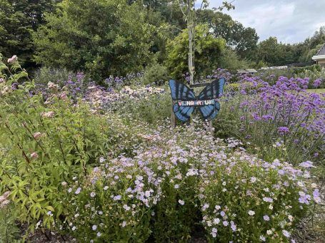 Bloeiende vlindertuin met veel nectarplanten Beewilding heeft voor de vlindertuin in Winkel Noord-Holland een biodivers beplantingsplan gemaakt met veel nectarplanten