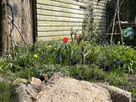 Een kleine bijvriendelijke tuin met stinzenplanten en bijenburcht Met een bijenburcht van leem kun je veel soorten wilde bijen helpen. Juist ook in kleine tuinen! Beewilding denkt graag mee.