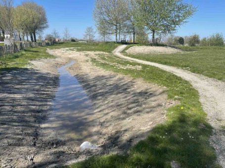 Wadi ingezaaid met inheemse bijvriendelijke beplanting Beewilding heeft hier een wadi geadviseerd om water de bodem in te laten infiltreren en om inheemse planten in te zaaien voor meer bijen