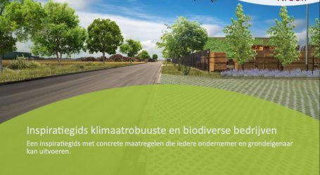 Een inspiratiegids vergroenen bedrijventerreinen voor klimaatadaptieve bedrijventerreinen Beewilding heeft deze inspiratiegids gemaakt om bedrijven en organisaties te helpen met hun ruimte te vergroenen en klimaatadaptief te maken